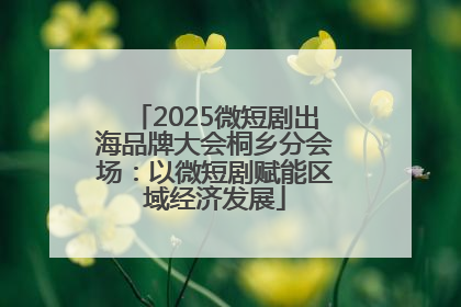 2025微短剧出海品牌大会桐乡分会场：以微短剧赋能区域经济发展