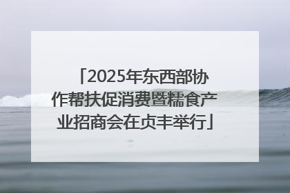 2025年东西部协作帮扶促消费暨糯食产业招商会在贞丰举行