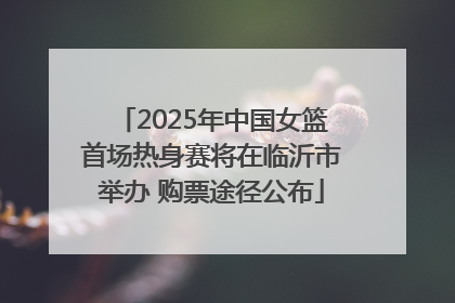 2025年中国女篮首场热身赛将在临沂市举办 购票途径公布