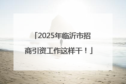 2025年临沂市招商引资工作这样干！