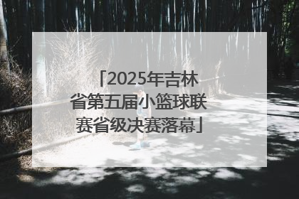 2025年吉林省第五届小篮球联赛省级决赛落幕