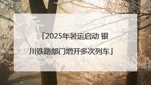 2025年暑运启动 银川铁路部门增开多次列车