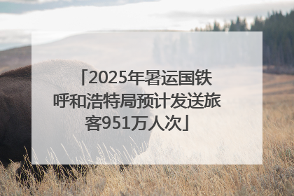 2025年暑运国铁呼和浩特局预计发送旅客951万人次