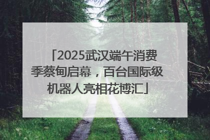 2025武汉端午消费季蔡甸启幕，百台国际级机器人亮相花博汇