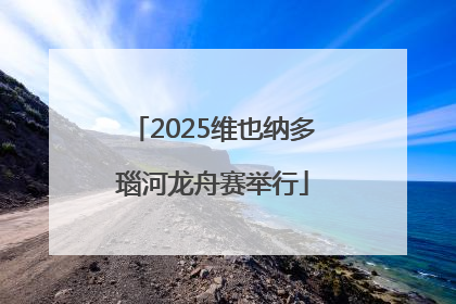2025维也纳多瑙河龙舟赛举行
