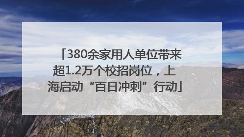 380余家用人单位带来超1.2万个校招岗位，上海启动“百日冲刺”行动