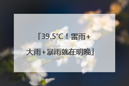 39.5℃！雷雨+大雨+暴雨就在明晚