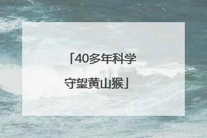 40多年科学守望黄山猴