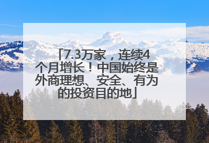 7.3万家，连续4个月增长！中国始终是外商理想、安全、有为的投资目的地