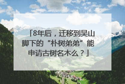 8年后，迁移到吴山脚下的“朴树弟弟”能申请古树名木么？