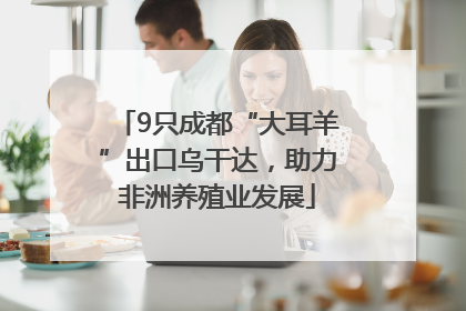 9只成都“大耳羊”出口乌干达，助力非洲养殖业发展