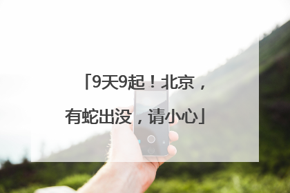 9天9起！北京，有蛇出没，请小心