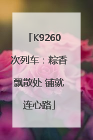K9260次列车：粽香飘散处 铺就连心路