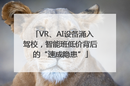 VR、AI设备涌入驾校，智能班低价背后的“速成隐患”
