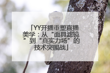 YY开播重塑直播美学：从“面具滤镜”到“真实力场”的技术突围战